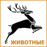 Трафарет с изображением животного Трафарет с изображением животного