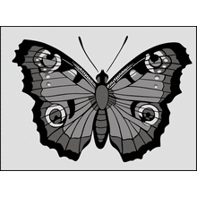 Пример трафарета Бабочка 5