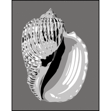 Пример трафарета Ракушка 1