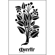 Пример трафарета Белладонна