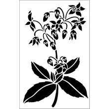 Пример трафарета Огуречник аптечный