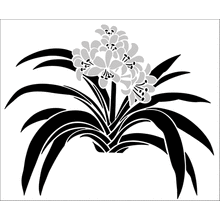 Пример трафарета Кливия