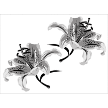 Пример трафарета Лилии 2