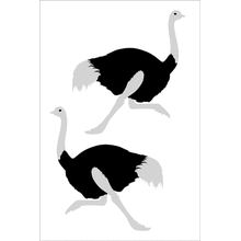 Пример трафарета Страус