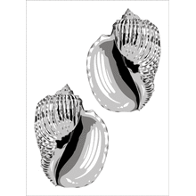 Пример трафарета Ракушки 6