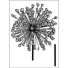 Пример трафарета Дикий лук 2