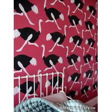 Трафареты страусов для стен