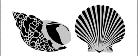 Пример трафарета Ракушки 5