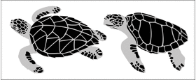 Пример трафарета Черепахи 2