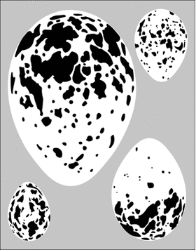 Пример трафарета Яйца