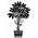Пример трафарета Фиговое дерево